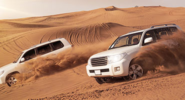  Liwa Adventure Desert Safari With Private Car 